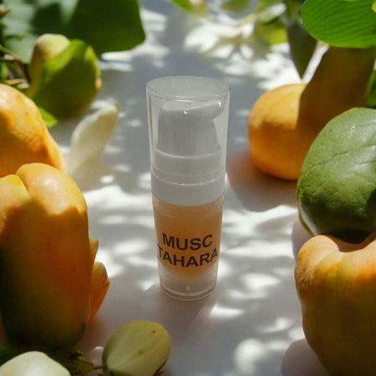 MUSC INTIME TAHARA MANGUE
